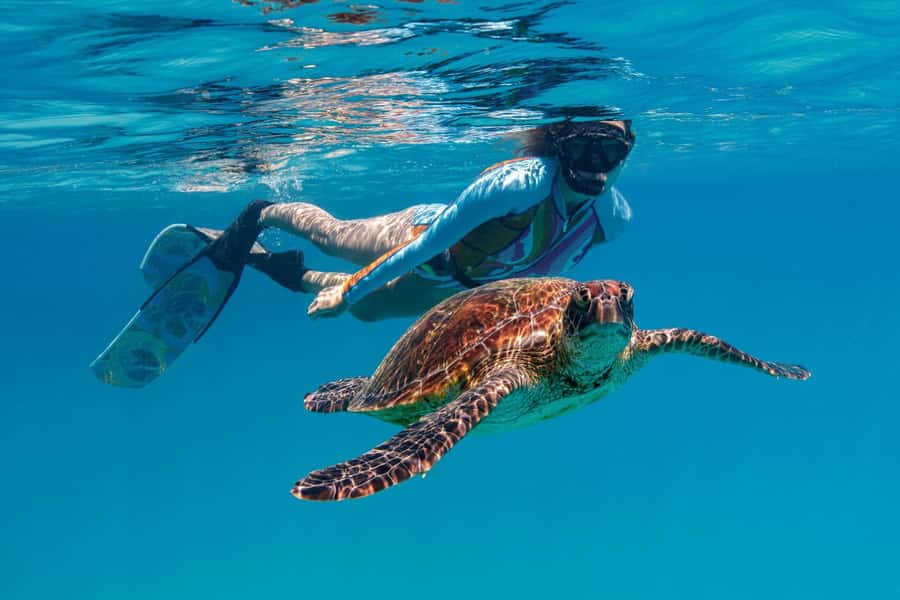 Bundaberg: Lady Musgrave Island and Great Barrier Reef Tour - FAQ