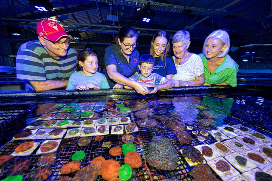 Bundaberg: Monsoon Aquatics Coral Farm Guided Tour - What makes the Monsoon Aquatics tour worth an hour