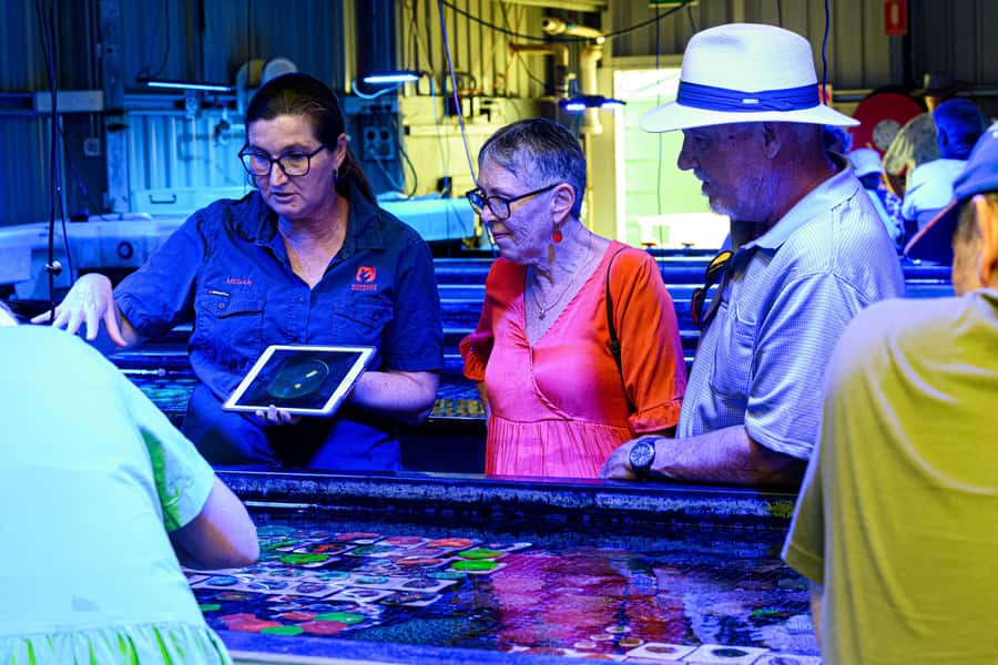 Bundaberg: Monsoon Aquatics Coral Farm Guided Tour - Who will enjoy this tour most?