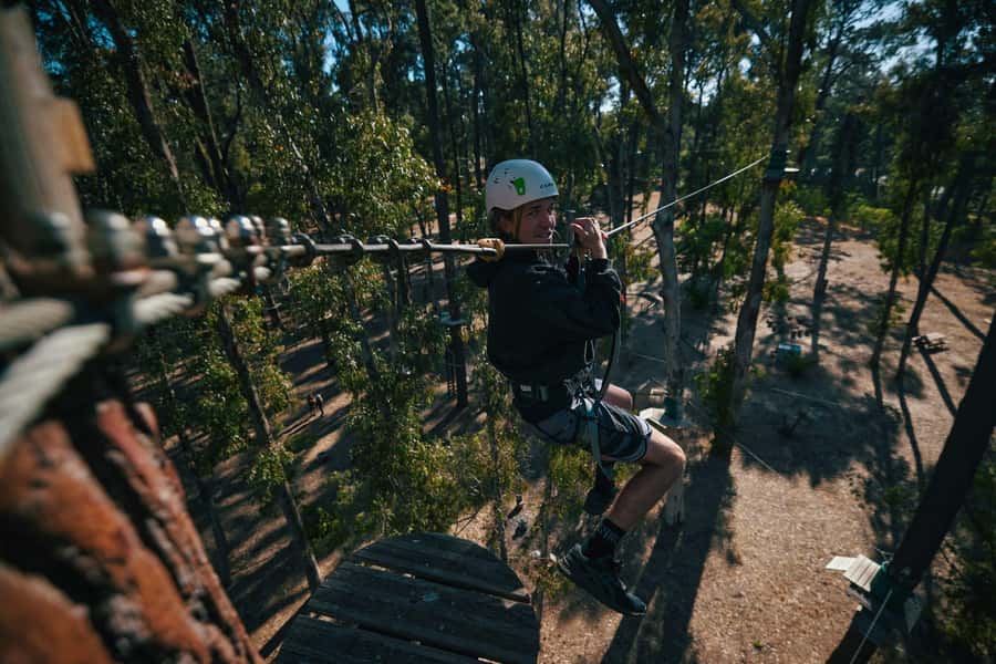Busselton: Forest Adventure with Zip Lining and Rope Course - Key points to know before you climb