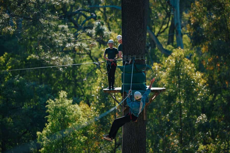 Busselton: Forest Adventure with Zip Lining and Rope Course - Why the forest setting improves the experience