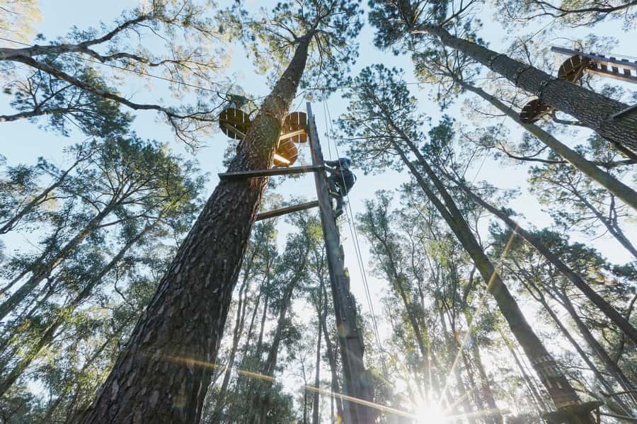 Busselton: Forest Adventure with Zip Lining and Rope Course - Family rules that can change your plans