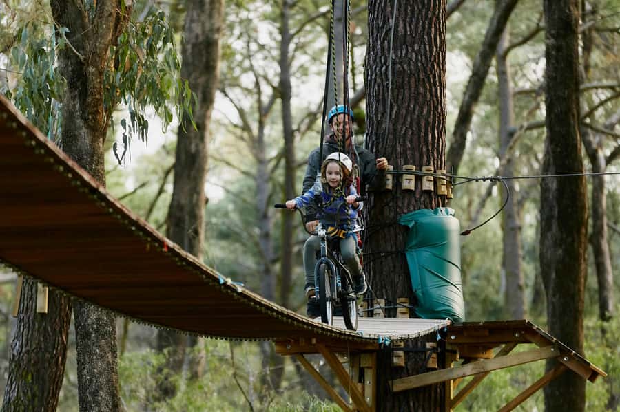 Busselton: Forest Adventure with Zip Lining and Rope Course - Is $41 per person good value?