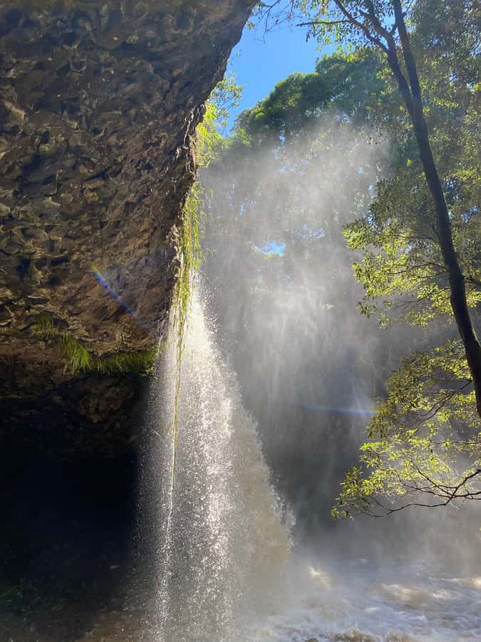 Byron Bay: Behind The Bay Waterfalls & Hidden Gems Day Tour - Why this six-hour trip works so well