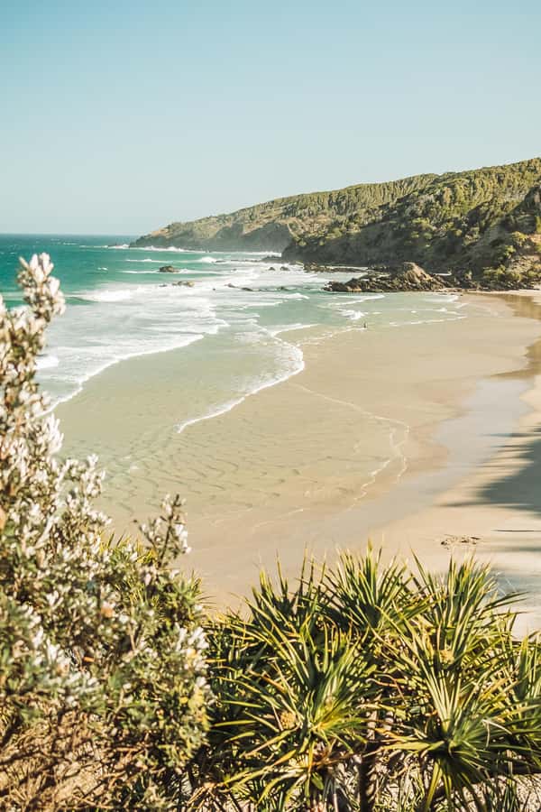 Byron Bay: Behind The Bay Waterfalls & Hidden Gems Day Tour - The guides make the bus rides matter