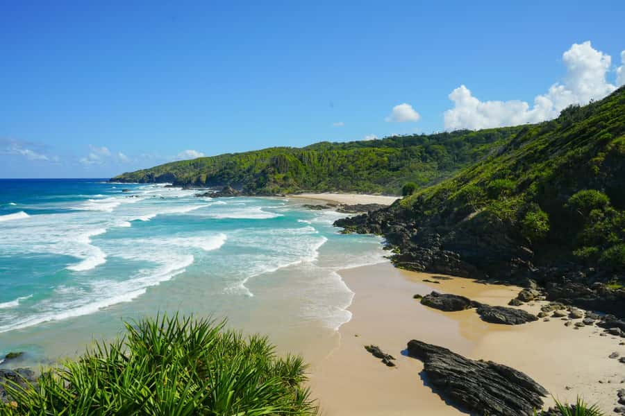 Byron Bay: Behind The Bay Waterfalls & Hidden Gems Day Tour - Killen Falls starts the day with cold water and forest