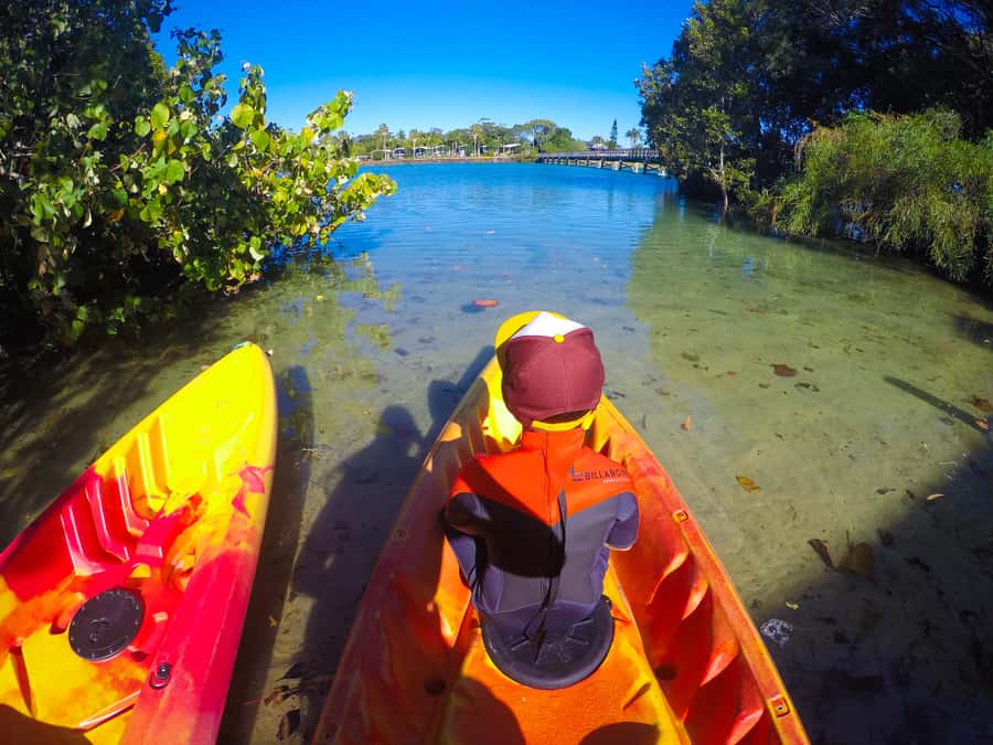 Byron Bay: Brunswick River Scenic Kayak Tour - Watching for stingrays, fish, and birds