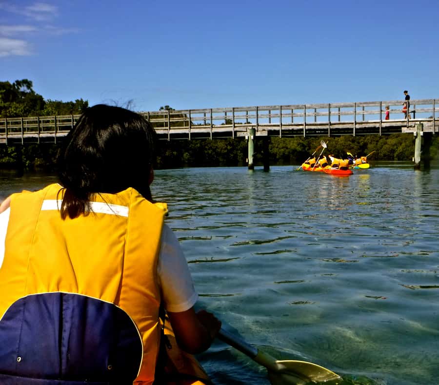 Byron Bay: Brunswick River Scenic Kayak Tour - Learning about local ecology and culture