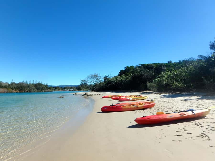 Byron Bay: Brunswick River Scenic Kayak Tour - The riverside picnic and swim break