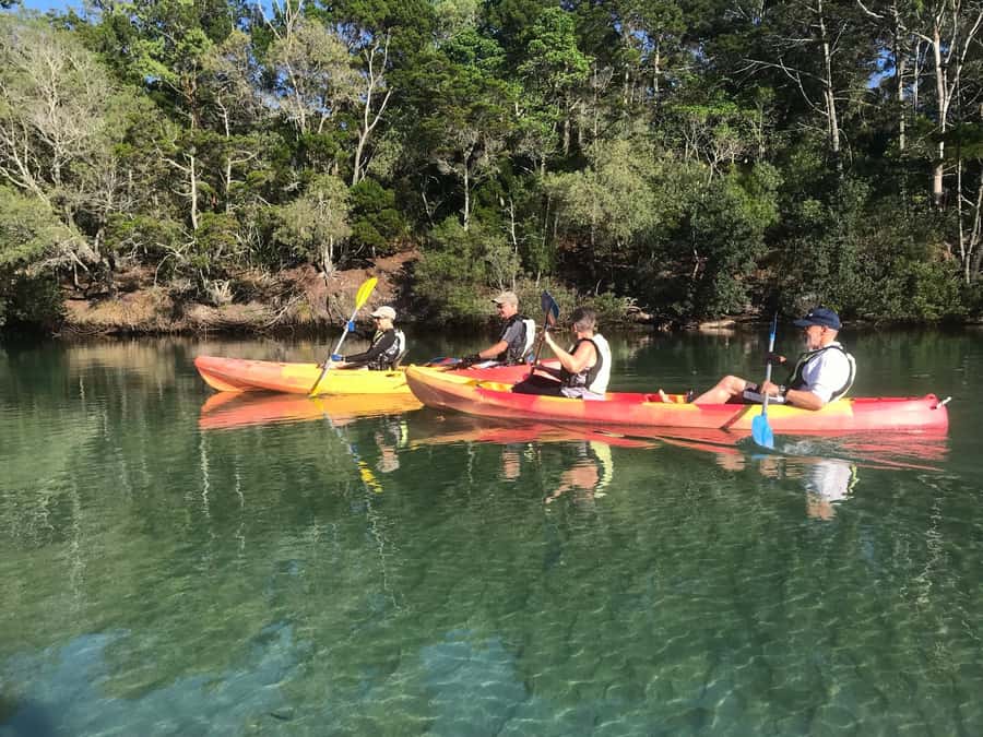 Byron Bay: Brunswick River Scenic Kayak Tour - Is $42 good value?