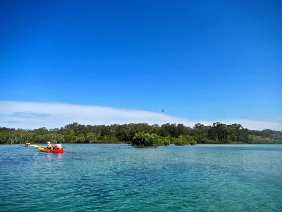 Byron Bay: Brunswick River Scenic Kayak Tour - Who will enjoy this most?