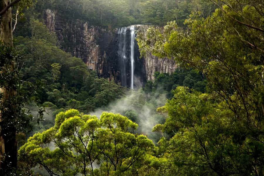 Byron Bay: Glowworms, Waterfalls & Rainforest Experience - Is $91 a fair price?