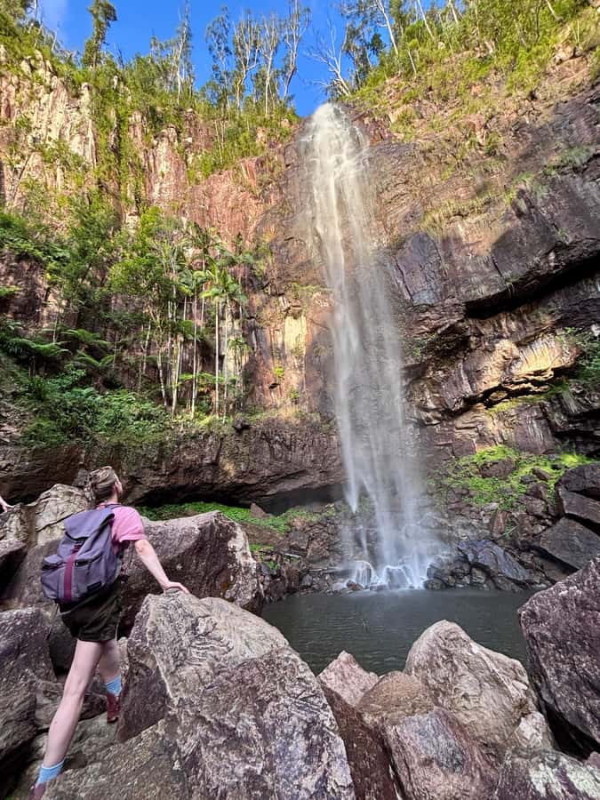 Byron Bay: Glowworms, Waterfalls & Rainforest Experience - Meeting in central Byron Bay