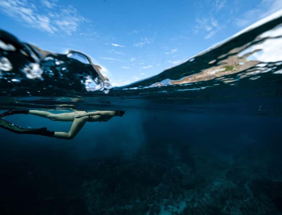Byron Bay: Snorkeling Tour at Julian Rocks, Nguthungulli - Should you book the Julian Rocks snorkel?