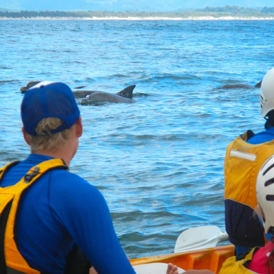 Byron Bay: The Byron Bay Sea Kayak Tour - Paddling across Byron Bay’s marine reserve