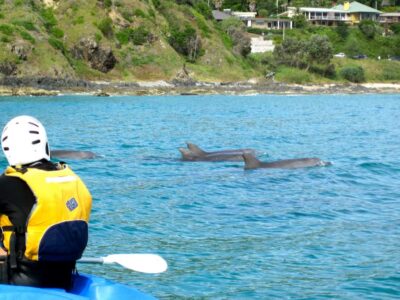 The Byron Bay Sea Kayak Tour