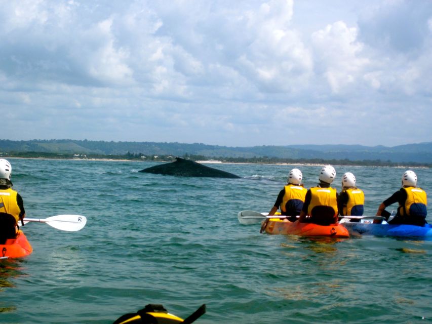 Byron Bay: The Byron Bay Sea Kayak Tour - Riding a kayak back through the surf