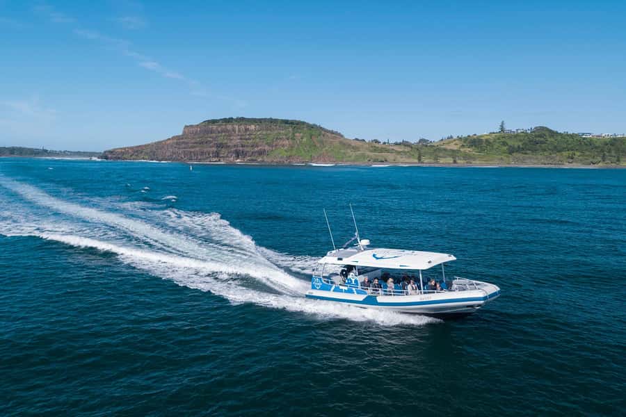 Byron Bay: Whale Watching Cruise with a Marine Biologist - Watching humpbacks in the wild