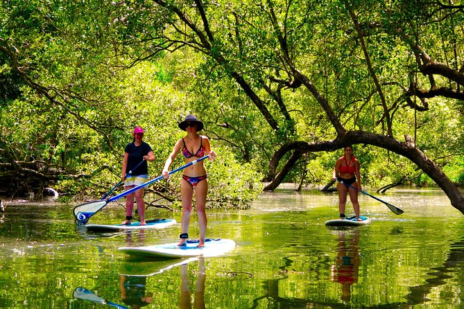 Byron Stand Up Paddle Nature Tour - Starting near Brunswick Heads, not in central Byron Bay