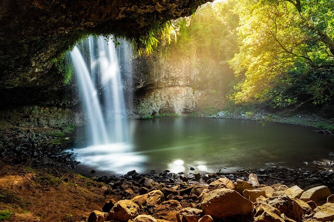 Byron Stand Up Paddle Nature Tour - The tree tunnel and the quietest part of the route