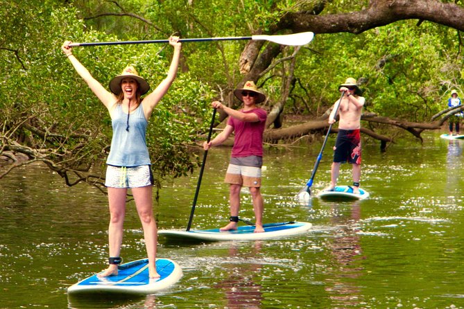 Byron Stand Up Paddle Nature Tour - A useful land lesson for first-time SUP visitors