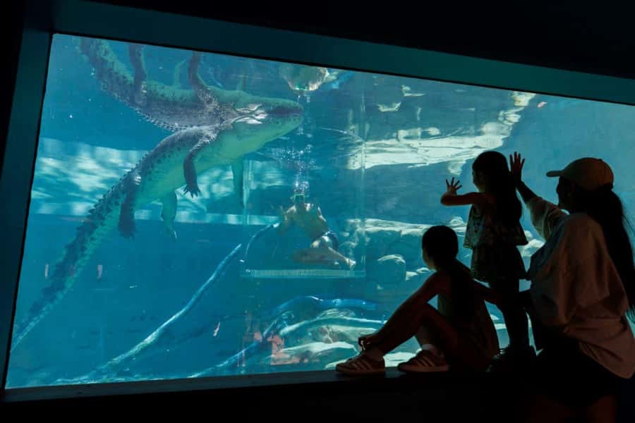 "Cage Of Death" Crocodile Swim and Entry to Crocosaurus Cove - Fifteen minutes beside a giant saltwater crocodile
