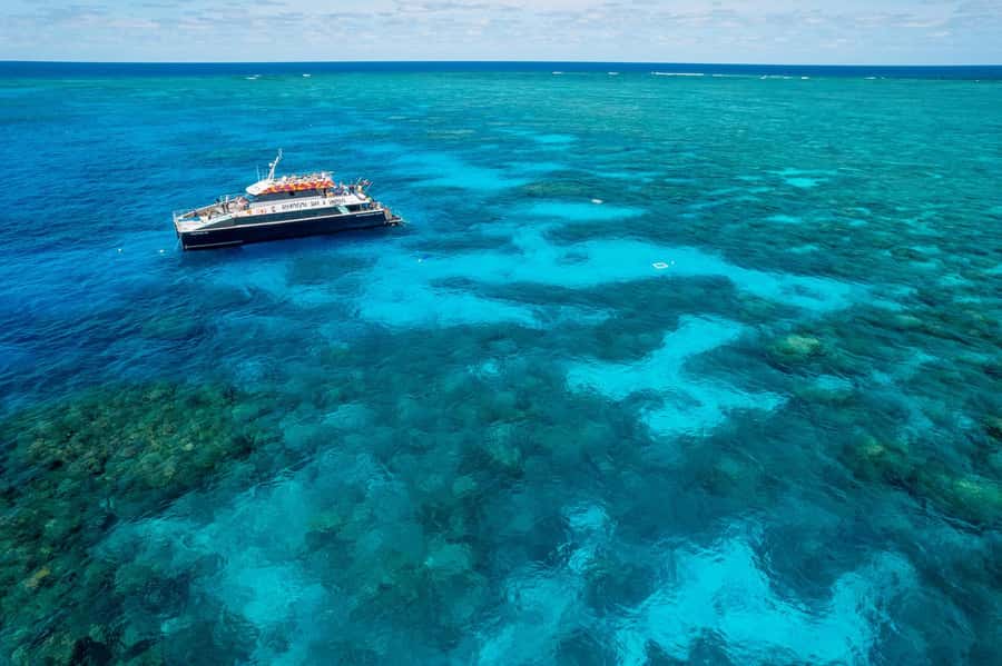Cairns: 2-Day Great Barrier Reef and Fitzroy Island Tour - What the water is really like