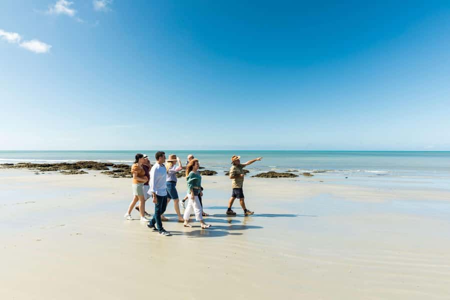Cairns: 2-Day Great Barrier Reef & Daintree Rainforest Tour - Who should book this package?