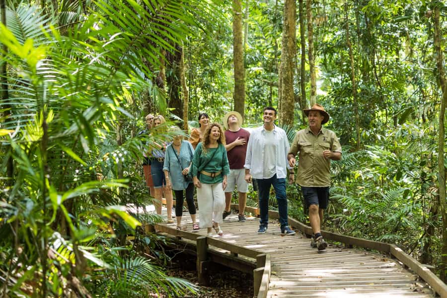Cairns: 2-Day Great Barrier Reef & Daintree Rainforest Tour - A raised boardwalk and a short rainforest walk