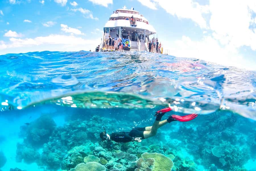 Cairns: 2-Day Great Barrier Reef & Daintree Rainforest Tour - Lunch, freshwater swimming, and Cape Tribulation