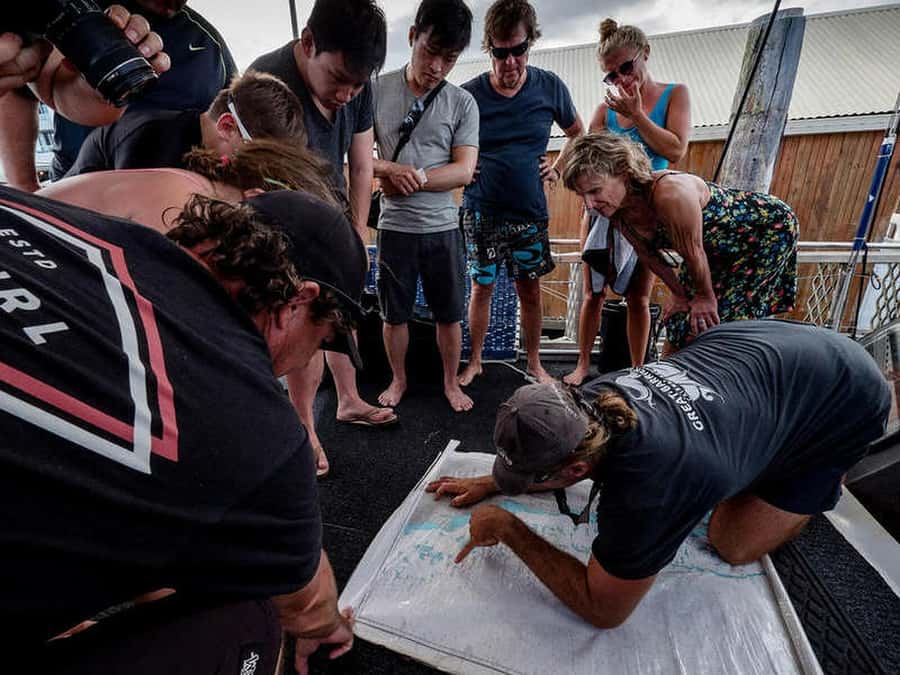 Cairns: 2-Day Great Barrier Reef Dive and Snorkel Boat Trip - The best parts of this reef trip