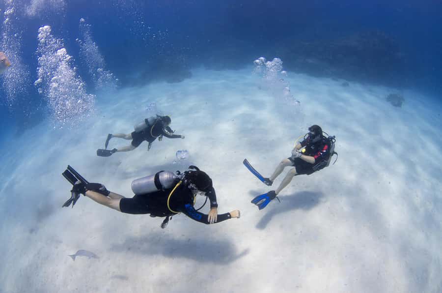 Cairns: 4-Day PADI Open Water Course - Who should book this four-day course?