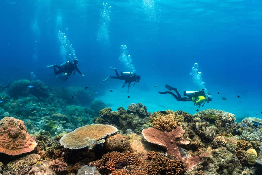 Cairns: 4-Day PADI Open Water Course - Why the outer reef setting matters