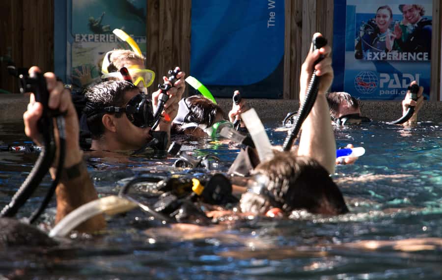 Cairns: 4-Day PADI Open Water Course - Equipment, transfers, and what you need to bring