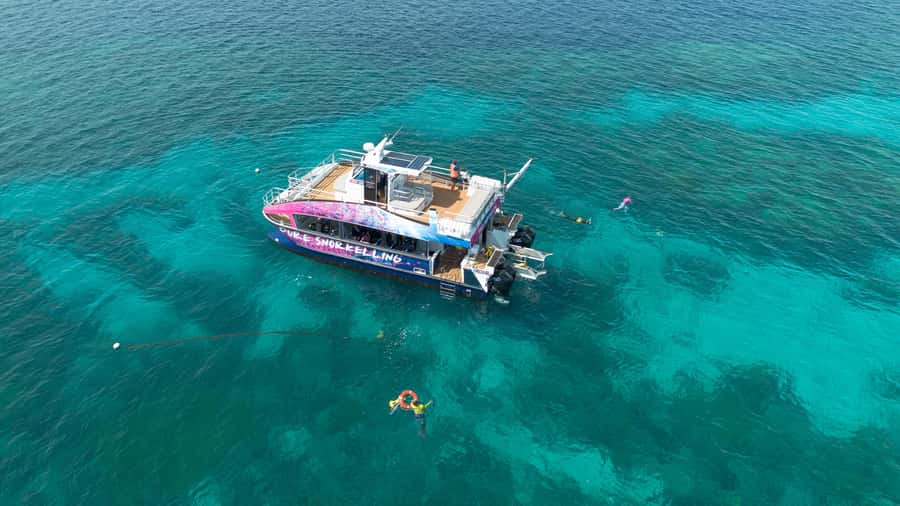 Cairns: All-Inclusive Great Barrier Reef Half-Day Snorkeling - From Marlin Marina to open sea
