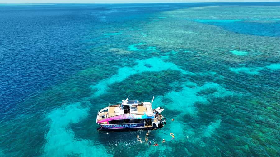 Cairns: All-Inclusive Great Barrier Reef Half-Day Snorkeling - Choosing among 15 Outer Reef sites