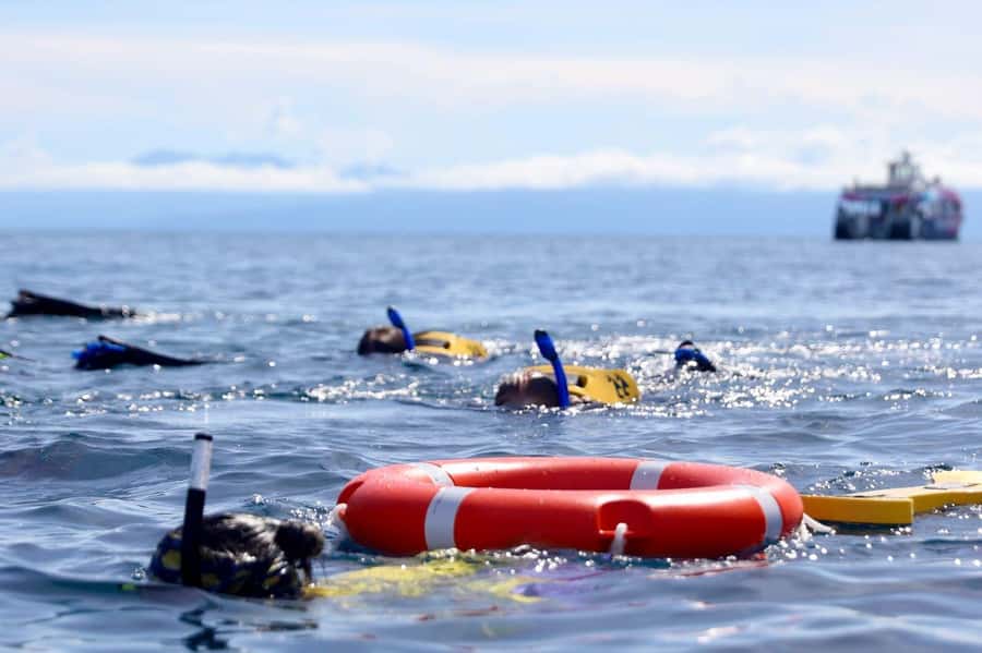 Cairns: All-Inclusive Great Barrier Reef Half-Day Snorkeling - Snacks, showers, and the practical comforts