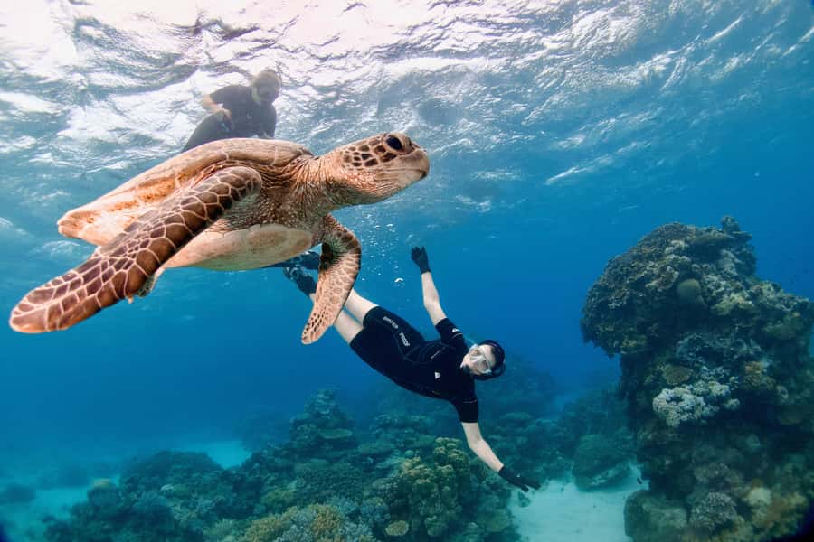 Cairns: All-Inclusive Great Barrier Reef Half-Day Snorkeling - Is $140 good value?