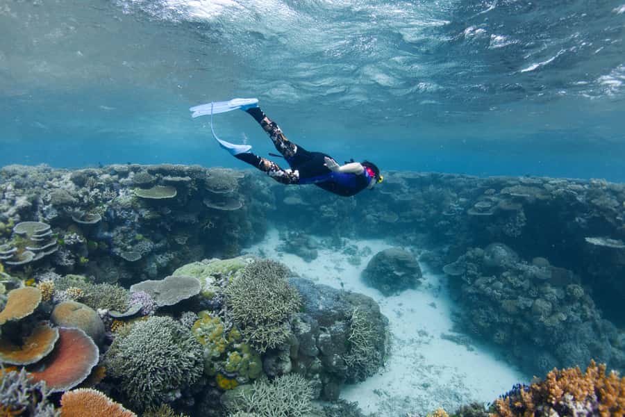 Cairns: All-Inclusive Great Barrier Reef Half-Day Snorkeling - My verdict on the Cairns half-day reef trip