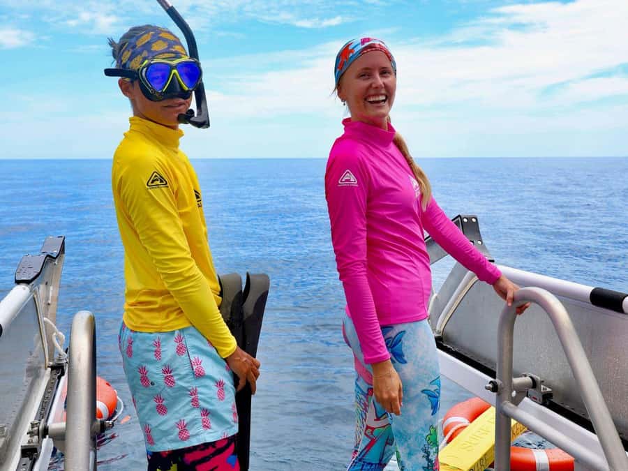 Cairns: All-Inclusive Great Barrier Reef Half-Day Snorkeling - The purpose-built boat and the one-hour run