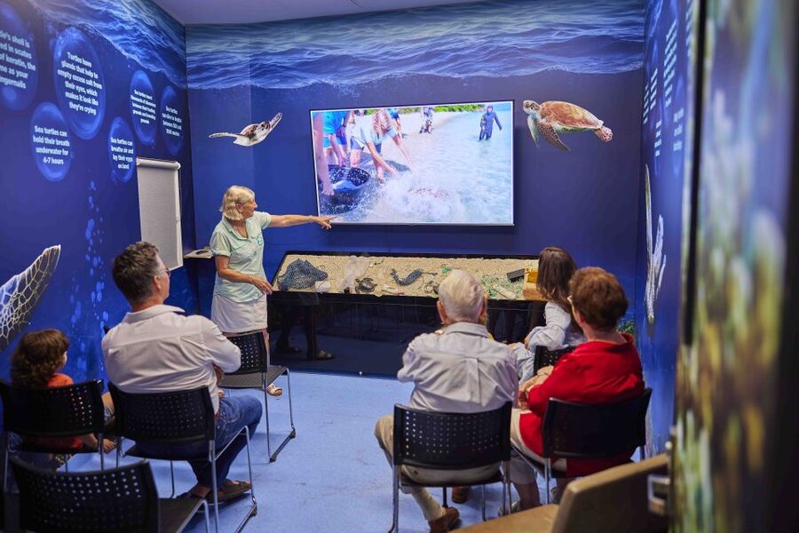 Cairns: Aquarium Entry Ticket and Turtle Rehabilitation Tour - A practical way to plan your full day