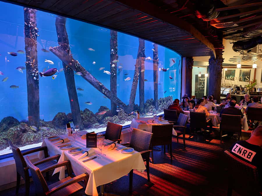Cairns Aquarium General Admission Ticket - The 10-metre reef tank and Coral Sea displays