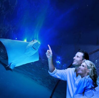 Aquarium Guided Twilight Tour with 3-Course Dinner