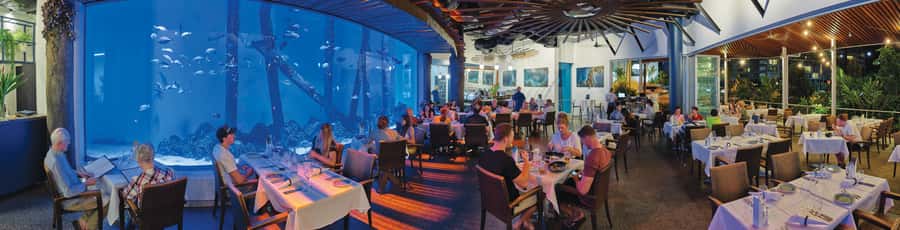 Cairns: Aquarium Guided Twilight Tour with 3-Course Dinner - Is $126 good value for three hours?