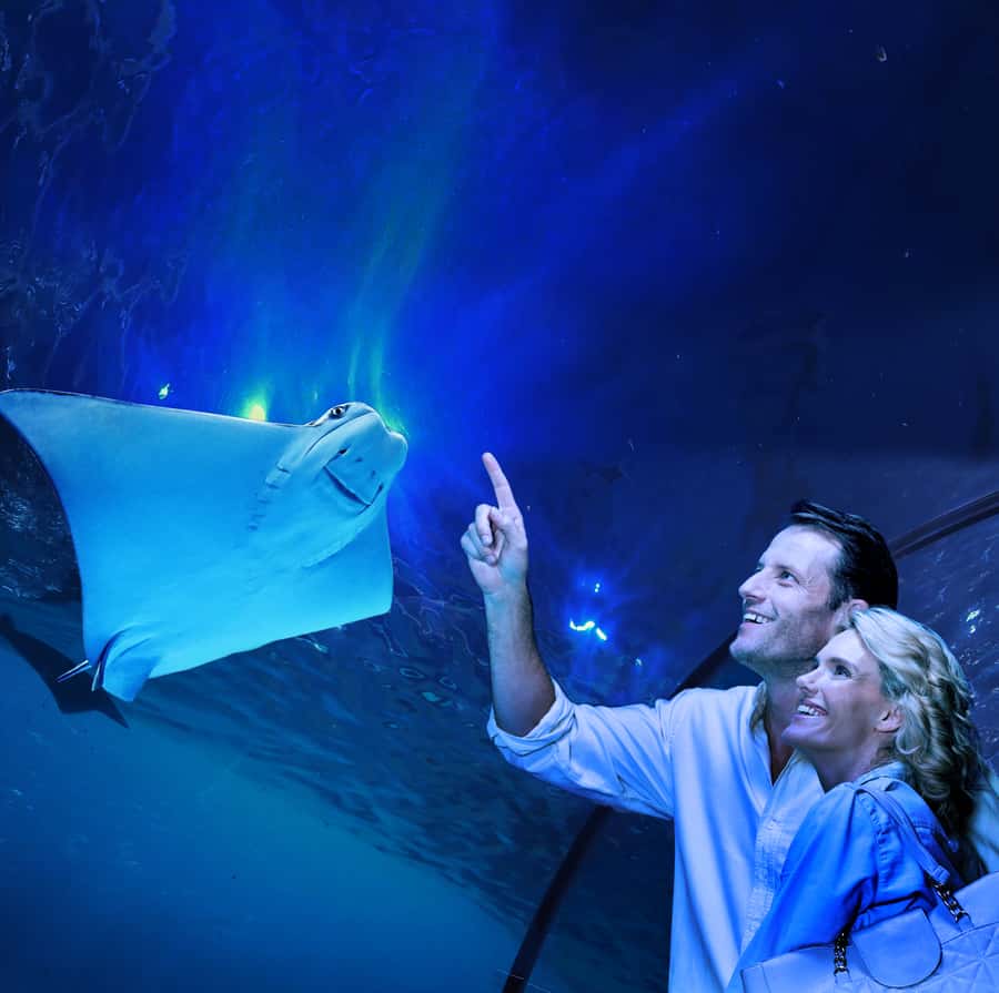 Cairns: Aquarium Guided Twilight Tour with 3-Course Dinner - Entering Cairns Aquarium after the crowds leave
