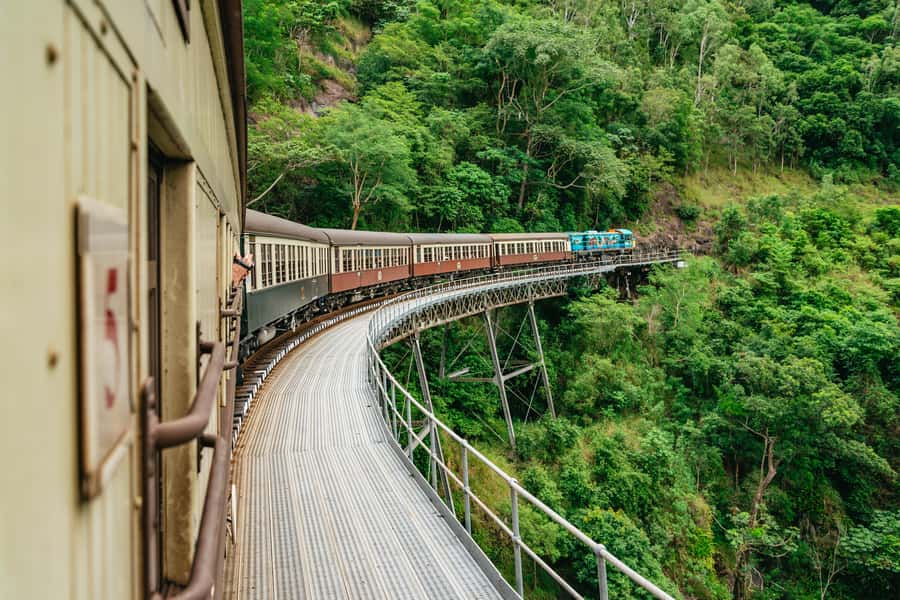 Cairns: Best of the Kuranda Rainforest Full-Day Tour & Lunch - The Australian Butterfly Sanctuary in Kuranda