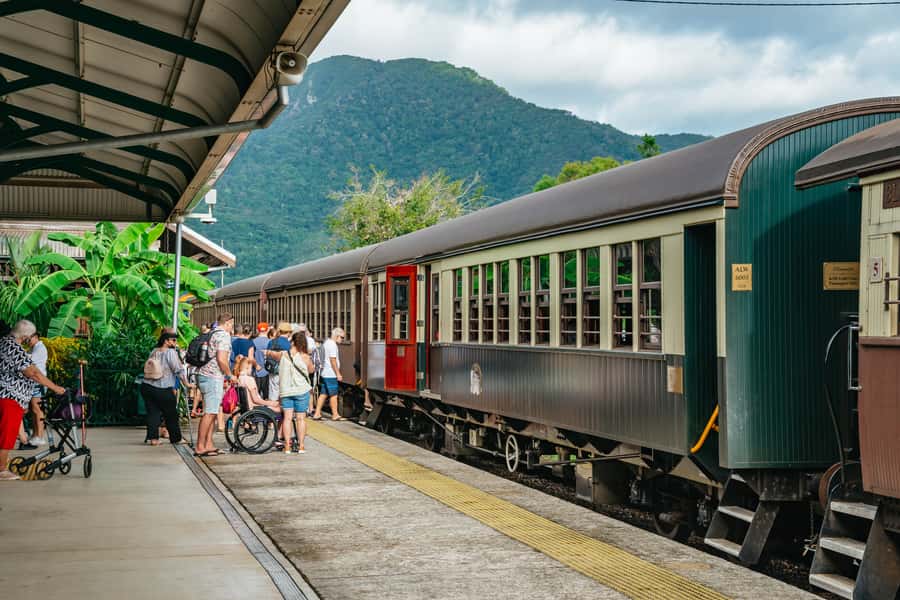 Cairns: Best of the Kuranda Rainforest Full-Day Tour & Lunch - Koalas, kangaroos, cassowaries, and other Australian animals
