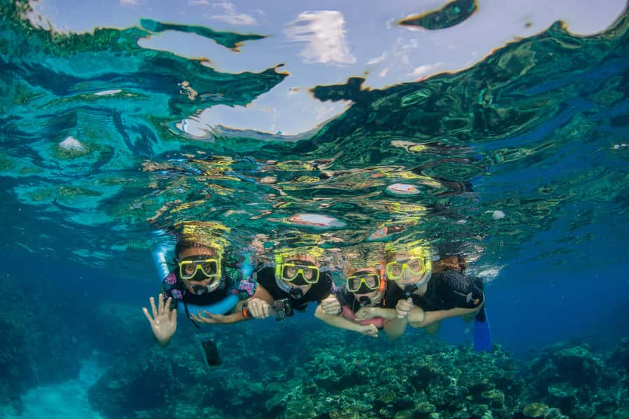 Cairns: Best Value All-inclusive Reef Trip With Scuba Dive - Why this Cairns reef trip offers good value