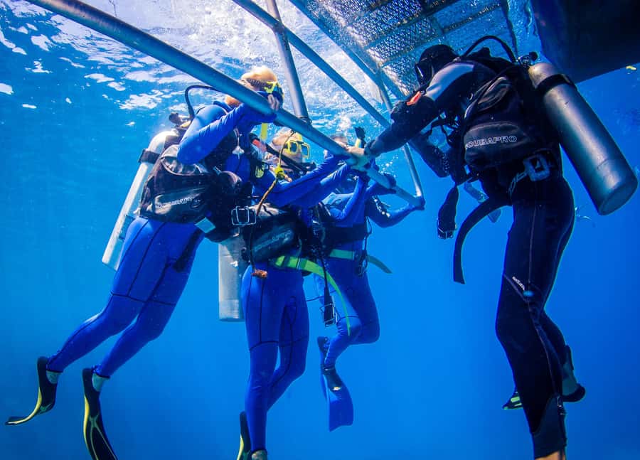 Cairns: Best Value All-inclusive Reef Trip With Scuba Dive - Practical ways to get more from the day