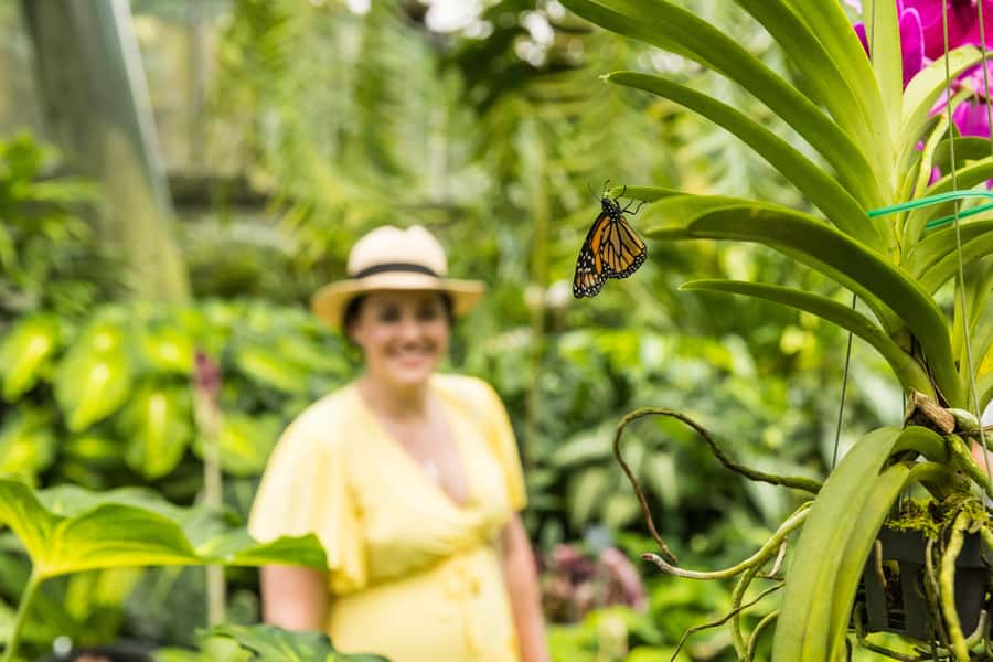 Cairns: Cairns City Sights & Surrounds Half Day Tour - Cairns Museum in a 20-minute visit